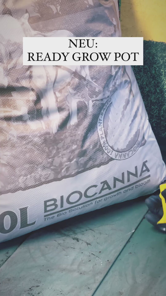 BIOCANNA TERRA (opcional + fertilizante) en maceta de 6,5L